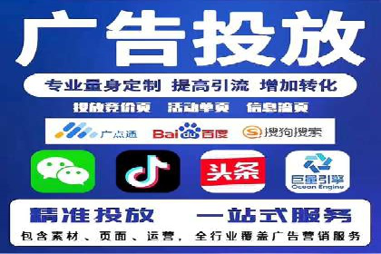 短视频平台的SEM推广实践与效果